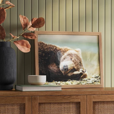 20" X 16" Bear Photography Framed Art Brown - Thresholdâ˘