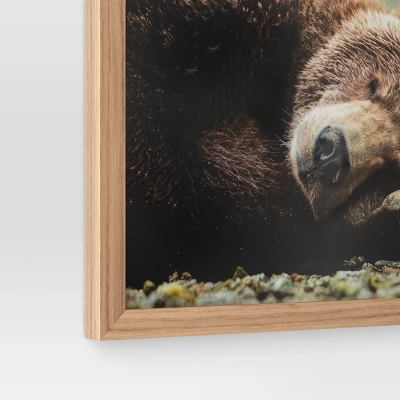 20" X 16" Bear Photography Framed Art Brown - Threshold⢠- Image 3