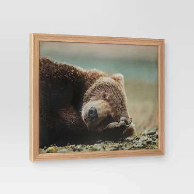 20" X 16" Bear Photography Framed Art Brown - Threshold⢠- Image 2