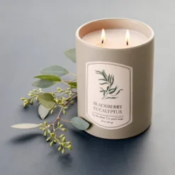 20oz Ceramic Blackberry Eucalyptus Candle Green - Threshold⢠Designed With Studio McGee