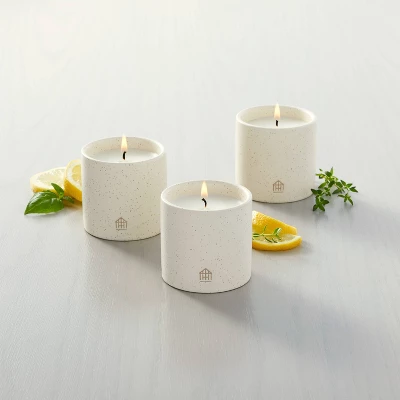 9oz Basil/Lemon/Thyme Speckled Ceramic Kitchen Candle Set - Hearth & Hand⢠With Magnolia