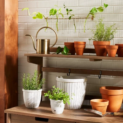 9pc Steel & Glass Plant Propagation Set Gold/Clear - Hearth & Hand⢠With Magnolia